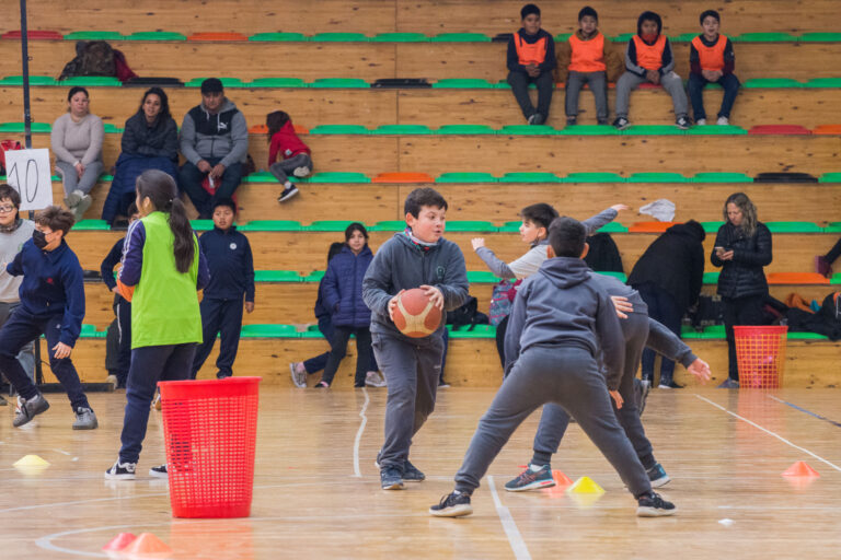 basquet