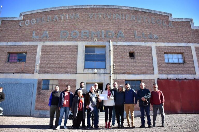 cooperativa