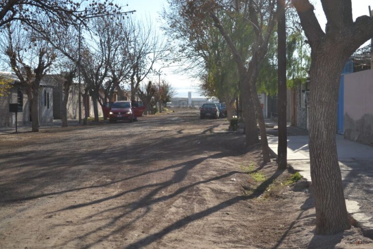 palmira