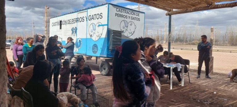castración