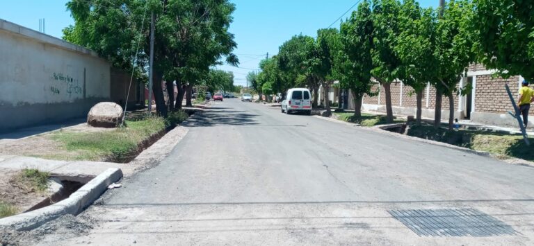 palmira